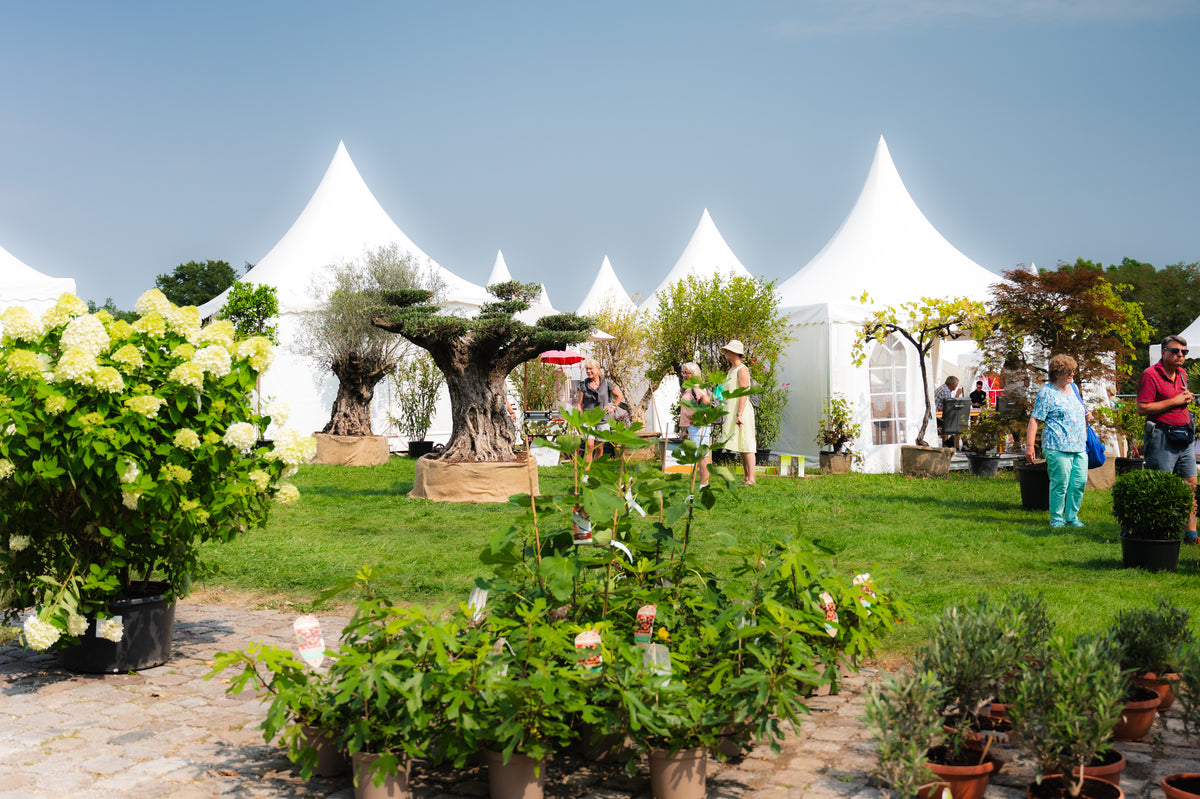 HOME & GARDEN Stuttgart