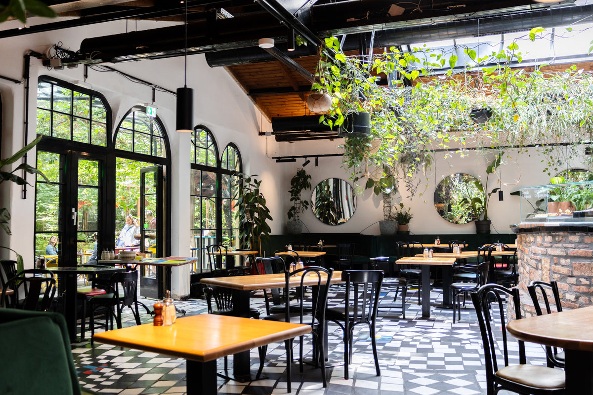 Café Friedlich